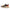 New Balance Scarpa da Trial Fresh Foam X Hierro v7 Donna