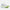 New Balance Scarpa da Running Fresh Foam X More v4 Donna White