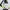 Brooks Giacca Gilet Run Visible Insulated Vest Uomo Nightlife