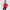 New Balance Accelerate Pacer Half Zip Donna