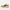Fresh Foam x 880 V15 New Balance Neutre Uomo M880H15