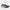 New Balance Scarpe da Running Fresh Foam x 880 V15 Uomo