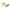 New Balance Scarpe da Running Fuelcell Propel V5 Uomo Mint Flash