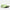New Balance Scarpe da Running FuelCell Rebel V5 Uomo Mint Flash