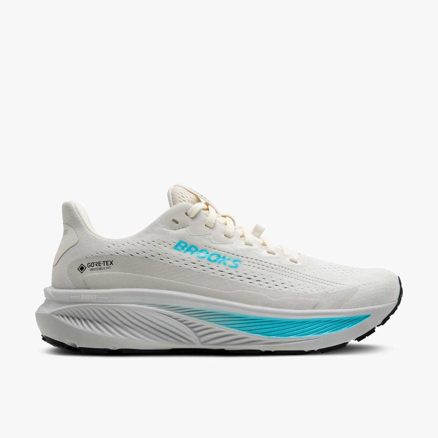 Brooks Scarpe da Running Ghost 17 Gtx Donna
